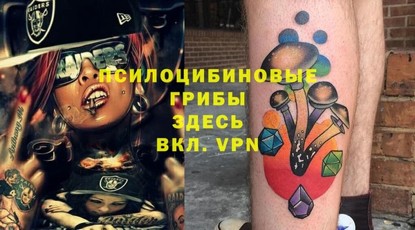 spice Арсеньев