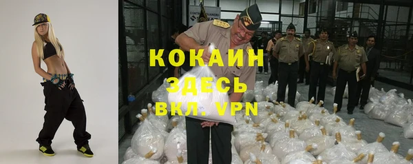 твердый Алексин