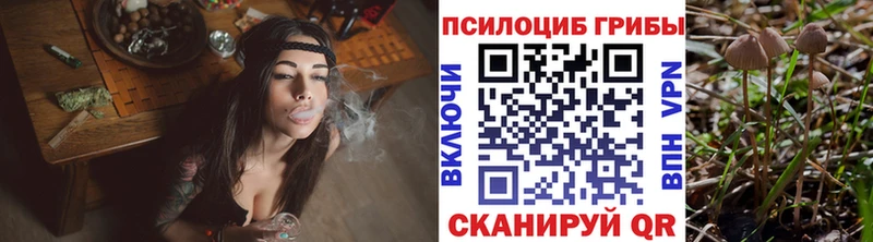 хочу наркоту  OMG зеркало  Галлюциногенные грибы мухоморы  Нарткала 